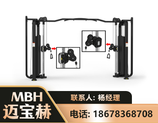 亳州大飞鸟训练器