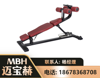 亳州可调腹肌板