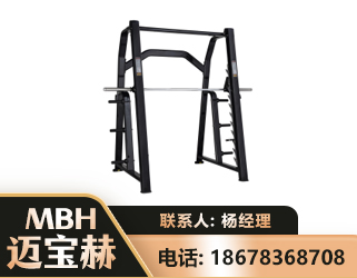 亳州史密斯机